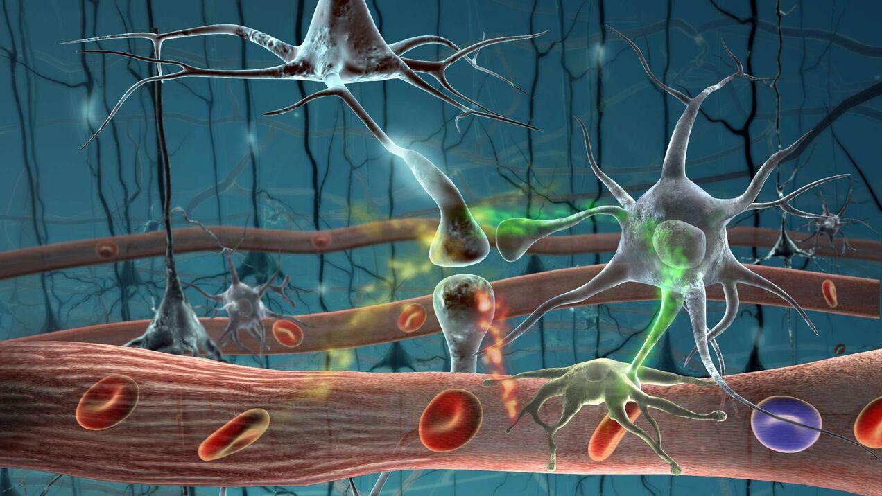 Parasitic cells in the human body