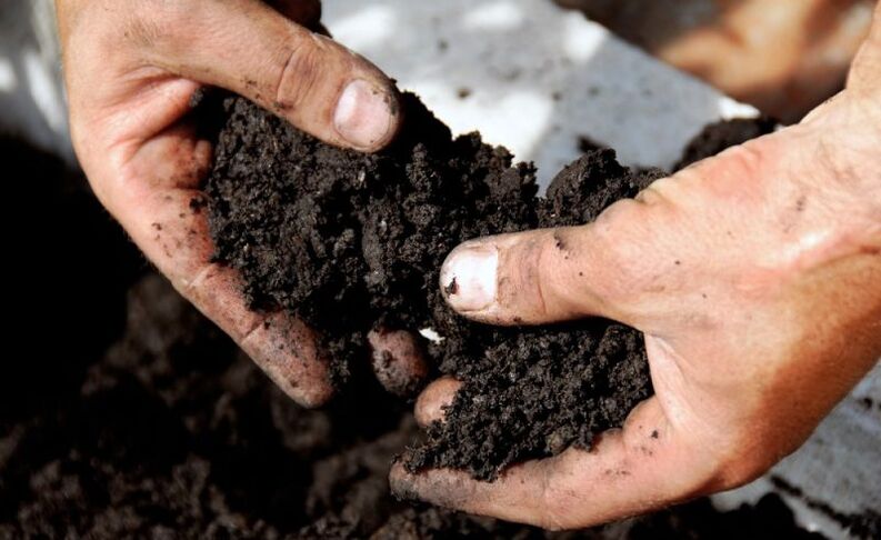 work with the soil as a route of infection with worms