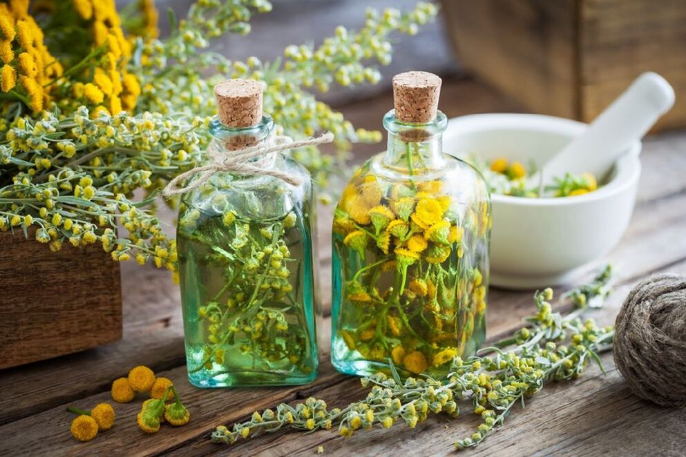 tansy tincture for helminths