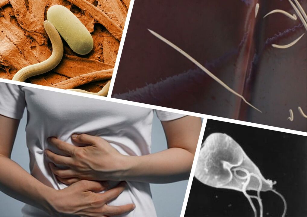 Parasites in the treatment of body