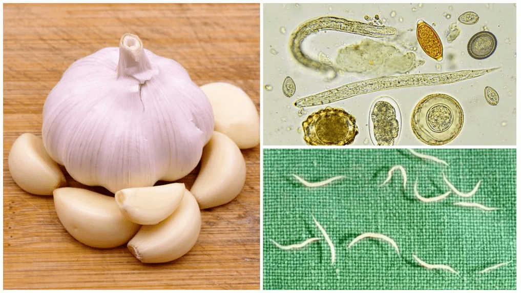 parasites in the folk method of body