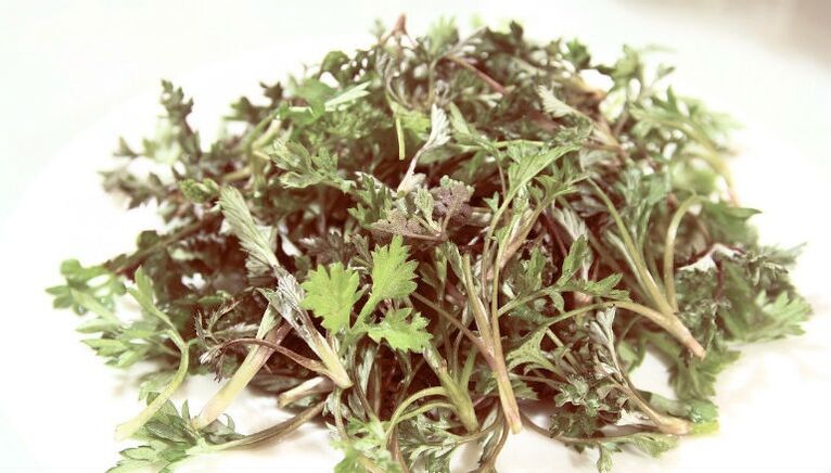 Wormwood from parasites
